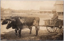 Vintage 1910s FARMING Real Photo RPPC Postcard / Farmer in Ox Cart / UNUSED picture