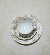 Schumann - Bavaria Empress Dresden Flowers Cup & Saucer, Plate picture