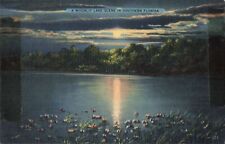 A Moonlit Lake Scene in Southern Florida, Vintage Postcard picture