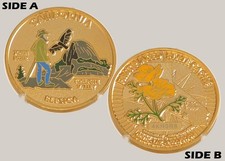 California John Muir Yosemite Valley Poppy Challenge Coin  1#20 picture