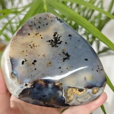Top 405g Natural Polished Aquatic Plants Agate Crystal Madagascar healing L498 picture