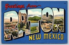 Vintage New Mexico Postcard RATON Large Letter Greetings 1943 picture