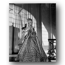 Anita Louise Photo 8x10 Portrait Classic Hollywood Actress-77 picture