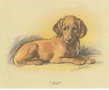 Irish Setter Puppy - CUSTOM MATTED 5 x 7 - Dog Art Print - Lucy Dawson picture