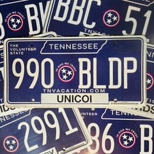 Tennessee License Plate 🔥 1 Random Original TN Tag In Good Condition picture