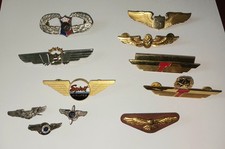 Spirit Airlines Pilot Antique Wings Metal American Trump picture