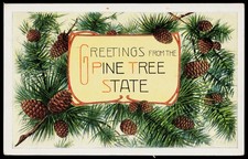 C1920 Portland Maine Greetings from the Pine Tree State Pinecones Litho Postcard picture