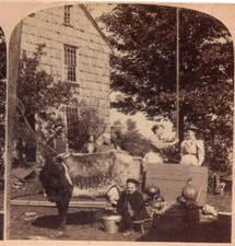 1895 Land of Liberty, Flowing with Milk and Honey.   Stereoview Photo picture