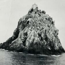 (AmJ) FOUND Photo Photograph Vintage 1958 Bird Rock Catalina California  picture
