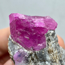 114 Carat Natural Huge Ruby Crystal With Mic On Matrix from Jegdalek Afghanistan picture
