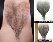 MENS MALE 100% HUMAN HAIR CHARACTERS COSTUME BODY HAIRY CHEST HAIR STUD HUNK  picture
