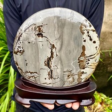 4.25LB Beautiful Natural Chinese Dendritic Limestone Picture Stone Guohua-Rare picture