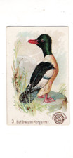 1898 (J2) #3 Buff Breasted Mergante, Arm & Hammer New Series Beautif, Large Size picture
