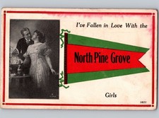 c1910 Fallen In Love Girls In NORTH PINE GROVE Pennsylvania PA Pennant Greetings picture