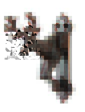 Rustic Western Forest Stag Elk Deer Head Cast Iron Door Knocker Cabin Lodge picture