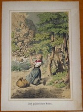 German Lithograph Lot Traditional Antique Prints Original 1877  picture