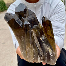 2.7LB  Natural Tea black Crystal quartz Cluster Mineral Specimen Healing reiki picture