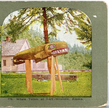 ALASKA, Whale Totem Pole At Fort Wrangle--Stereoview #LF47 picture