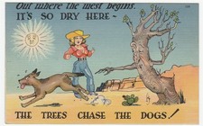 Vintage Postcard Out Where the West Begins The Trees Chase the Dog Western Humor picture