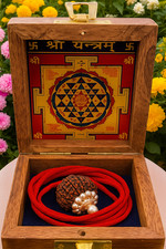 Natural 17 Mukhi Rudraksha Nepal | Seventeen Face Rudraksha for Wealth, Love & S picture