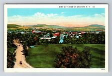 Oneonta NY-New York, Birds Eye View of Oneonta, Vintage Postcard picture