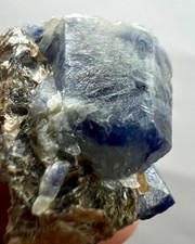 53ct. Natural Blue Sapphire Crystal on Mica - Badakhshan, Afghanistan - Rare picture