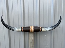 MOUNTED STEER HORNS 3 Feet 1 Inch Wide LONGHORN POLISHED MOUNT BULL COW picture