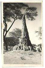 PC NAMIBIA, GERMAN SW AFRICA, TERMITE HILL, vintage postcard (b33582) picture