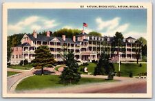Postcard Natural Bridge Hotel, Natural Bridge Virginia Unposted picture