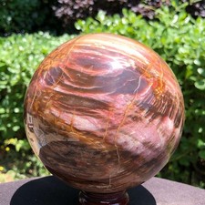2530g Natural wood fossil ball spiritual fireworks MH5670 picture