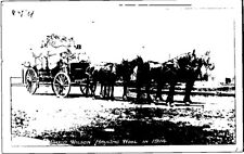 RPPC David Wilson Hauling Wool Team Horses drawn Wagon in 1914 vtg repro A705 picture