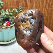 239g natural Bonsai Suiseki Gobi Agate Eyes Stone-Stunning original View A7844 picture