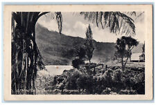c1920's On The Banks of the Wanganui New Zealand Unposted Maoriland Postcard picture