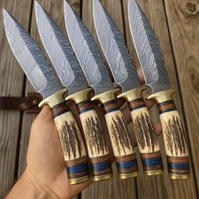 5 Pieces Lot HANDMADE DAMASCUS BLADE HUNTING SKINNIER KNIVES STAG ANTLER HANDLE picture
