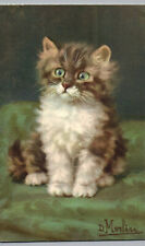 Vintage Postcard Green Eyed Furry Cat Antique White and Brown Kitty Post Card picture