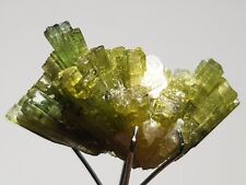 13Ct Beautiful Natural Color Tourmaline Bunch Crystal From Skardu Pakistan  picture