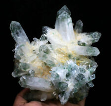 2.85lb New Find Beatiful Green Tibetan Phantom Quartz Crystal Cluster Specimen picture