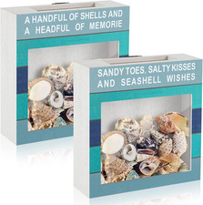 2 Pcs Seashell Holder Seashell Display Box Beach Room Decor Ocean Themed Gifts f picture