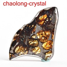 8.85Ct Brenham pallasite meteorite slice OLIVE METEORITE/USA DG1563 picture