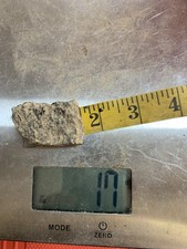 TENNESSEE Extremely Rare 17g lot US CretaceousRough-CoffeeSandFm picture