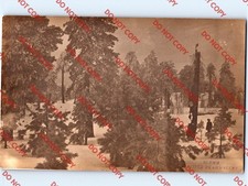 c1910 Man In Woods LITTLE BEAR VALLEY San Bernardino County California CA RPPC picture