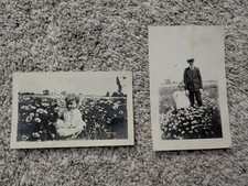 Vintage Early 1920s Lot Of 2 Boy And Little Girl In Field Of Flowers Photographs picture
