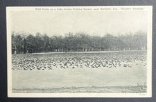 Arkansas Stuttgart Wild Ducks Lake Season
