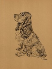 Antique Cocker Spaniel Print Lucy Dawson 1930s Cocker Wall Art Decor 6554r picture