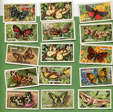 1938 GALLAHER LTD. BUTTERFLIES AND MOTHS 48 DIFFERENT TOBACCO CARD SET picture