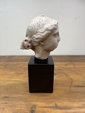 Vintage Freud Museum London Bust Ciba Geigy Classical Greek Goddess Statue Head  picture