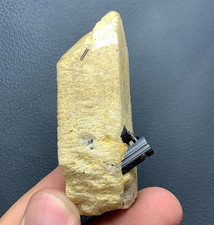 243 Carat Tourmaline Crystal With Feldspar Specimen From Pakistan picture