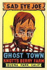 VINTAGE BUENA PARK CALIFORNIA SAD EYE JOE GHOST TOWN KNOTT'S BERRY TRAVEL DECAL picture