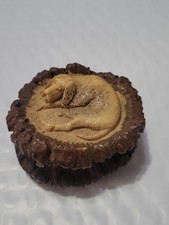 Antique Carved Stag Antler Snuff Box Hunting Hound Dog German Folk Art Horn picture