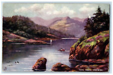 c1910 Tarn Hows Coniston Picturesque Lakes England Oilette Tuck Art Postcard picture